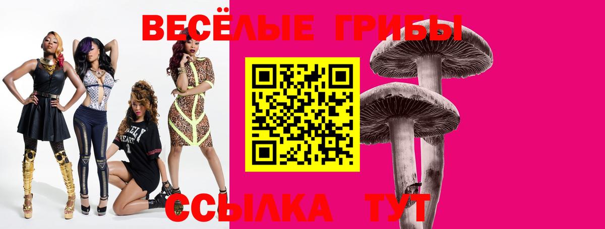 Бердск  Псилоцибиновые грибы GOLDEN TEACHER  Вход с VPN  Псилоцибиновые грибы мицелий 